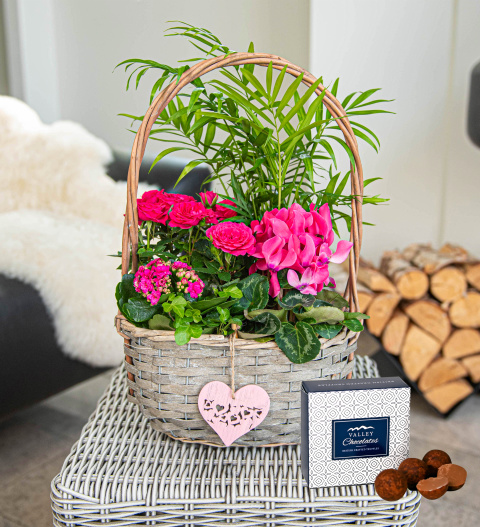 Bild von Special Mum Basket – Gifts For Mum – Mother’s Day Gifts – Plant Delivery – Plant Gifts – Send Plants
